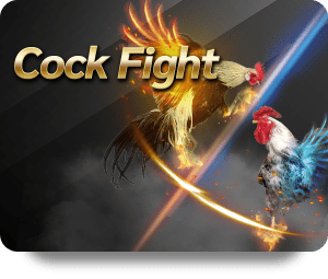 Cách Chọn Game Bài Đổi Thưởng Phù Hợp Với Bạn